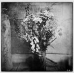 "Fiori morti"