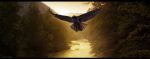 "Aprir� altre ali"