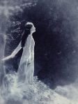 "La notte sar� lunga"