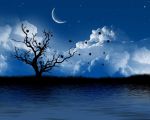 "Mille stelle morte"