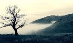 "In attesa dell�alba"