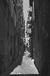 Vicoli