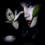 Condizione