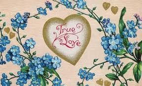 Fior d'amore