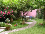 Il giardino