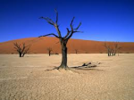 Eredit� di terra