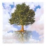 Il racconto della vita