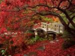 Il giardino segreto
