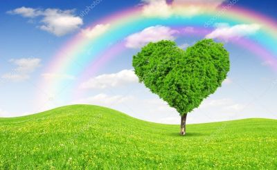 L�albero pi� bello del mondo