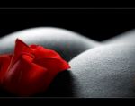 Tra Inferno e Paradiso