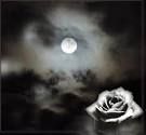 Temo la notte