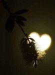 Eclissi di te