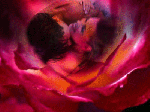 T'amerò tacendoti l'amore