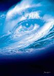 Forse non ci sar�