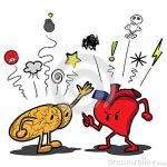 Il cervello e il cuore