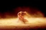 Pochi sanno che � mia questa fuggevole immensit�
