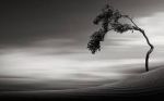Andr� via
