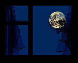 Notte di luna