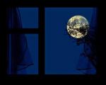 Notte di luna