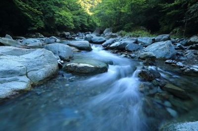 L�acqua del ruscello