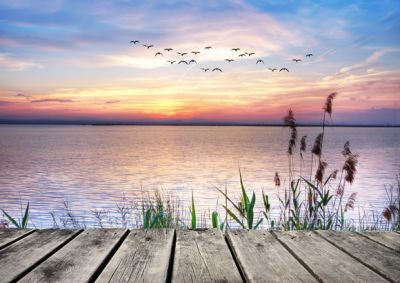 Quale mare un d� navigheremo?