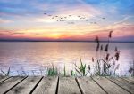 Quale mare un d� navigheremo?