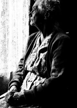 Assassino silenzio