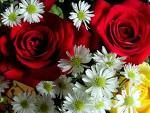 Donne uniche