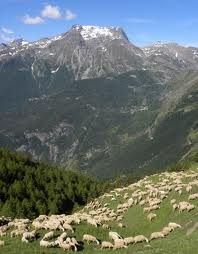 Sospir di natura!