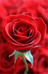 21 messaggi d'amore