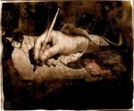 Lettera ad un timido (Profumo di Viole)
