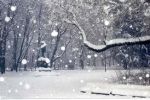 La Neve