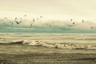 Melodia del mare