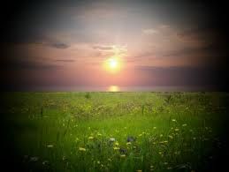 Ombre di luce