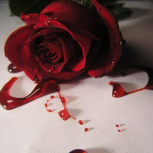 Ebbra d'amore