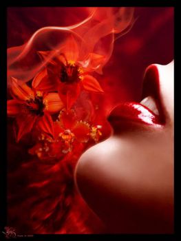 Il bacio del diavolo
