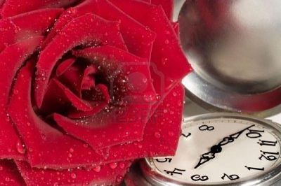 Rosa di cera
