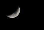 Luna infatuata  