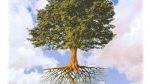 Chi ha piantato l�albero