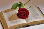 Sogno d'amore