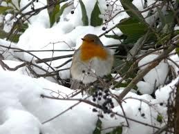 Inverno sotto pelle