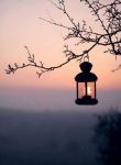 Un sottile silenzio