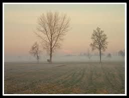 Una nebbiolina