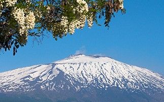 Conforto (haiku 2)