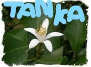 Il Tanka d�Aprile