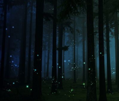 Adesso è notte