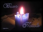 Amo Questa Notte