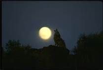 Notte dopo notte