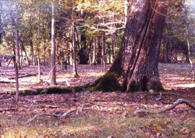 Un giorno d'autunno