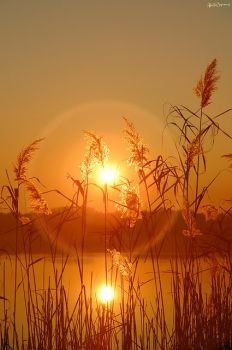 Aspettami tramonto